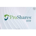 ProShares Bitcoin ETF logo