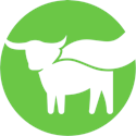 Beyond Meat, Inc. Common Stock logo