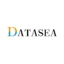 Datasea Intelligent Technology Ltd. Class A Ordinary Shares logo