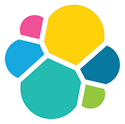 Elastic N.V. logo