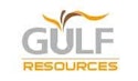 Gulf Resources, Inc. (NV) Common Stock logo