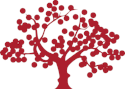 Live Oak Bancshares, Inc. logo