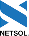NetSol Technologies, Inc. logo