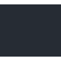 Rayliant NxtGen Multifactor Emerging Markets Equity ETF logo