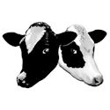 Tucows, Inc logo
