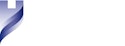 Hypatia Women CEO ETF logo
